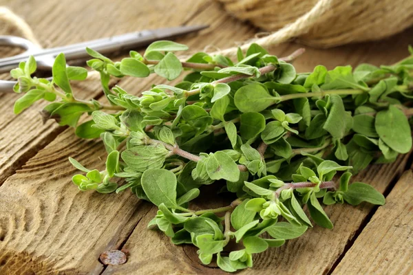 Färska ekologiska oregano (mejram) på en planka — Stockfoto