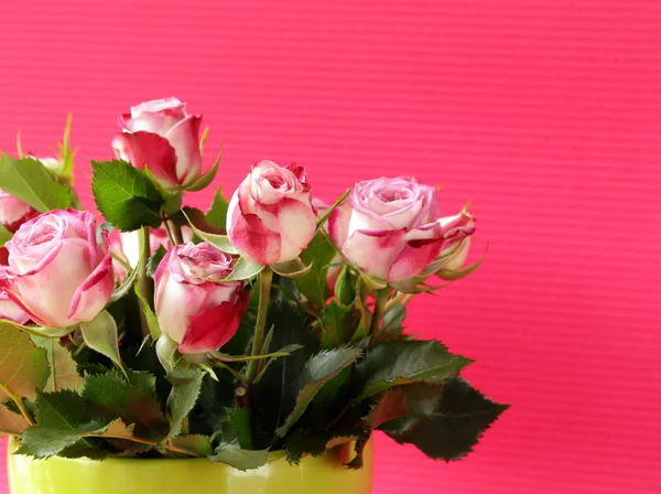 Fleurs roses dans un vase sur un fond rose — Photo