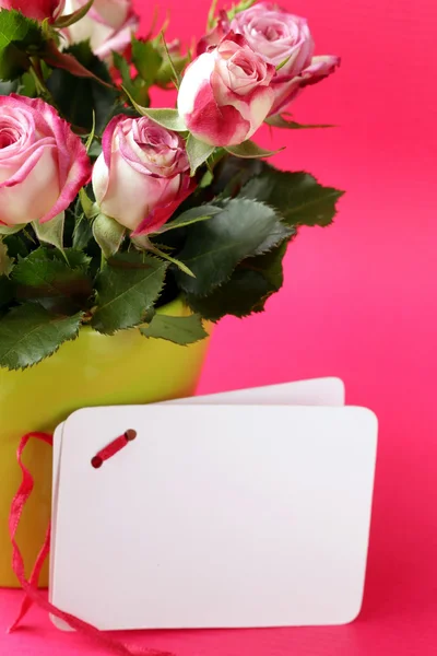 Flowers roses in a vase on a pink background — Stock Photo, Image