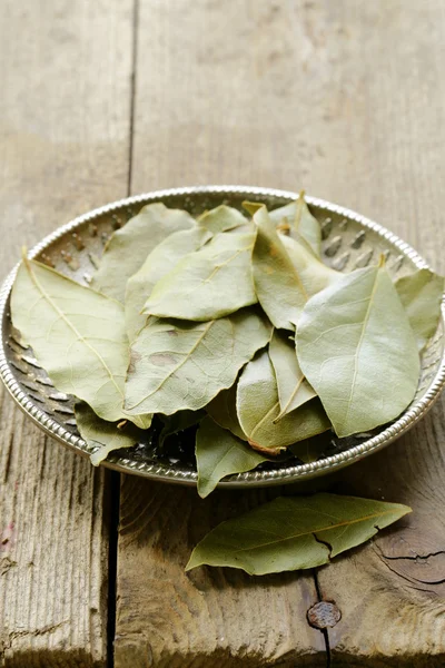 Αποξηραμένα φύλλα δάφνης σε ένα ασημένιο πιάτο — Φωτογραφία Αρχείου