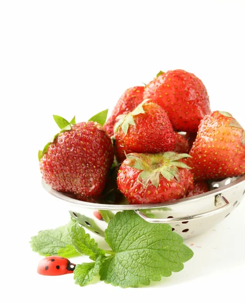 Reife Bio-Erdbeeren mit grünem Blatt — Stockfoto
