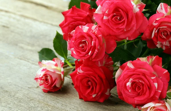 Flores rosas rosadas sobre fondo de madera — Foto de Stock