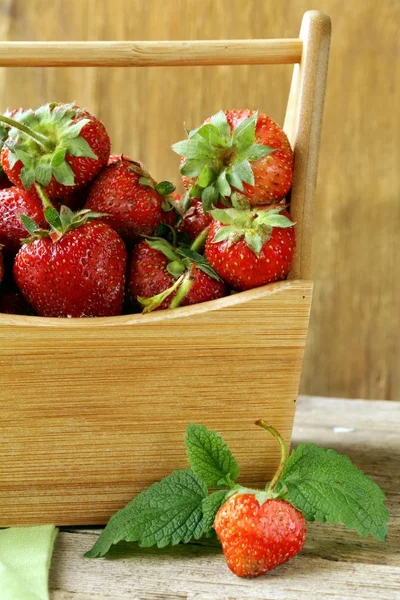 Reife Bio-Erdbeeren mit grünem Blatt — Stockfoto