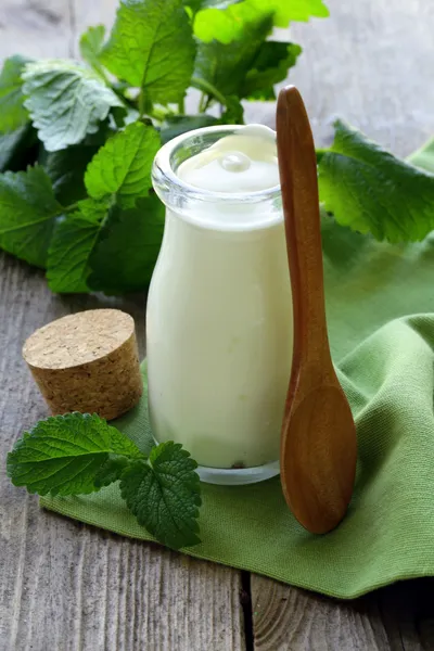 Produtos lácteos orgânicos (iogurte, nata azeda) em um frasco de vidro — Fotografia de Stock