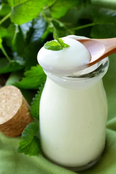 Produtos lácteos orgânicos (iogurte, nata azeda) em um frasco de vidro — Fotografia de Stock