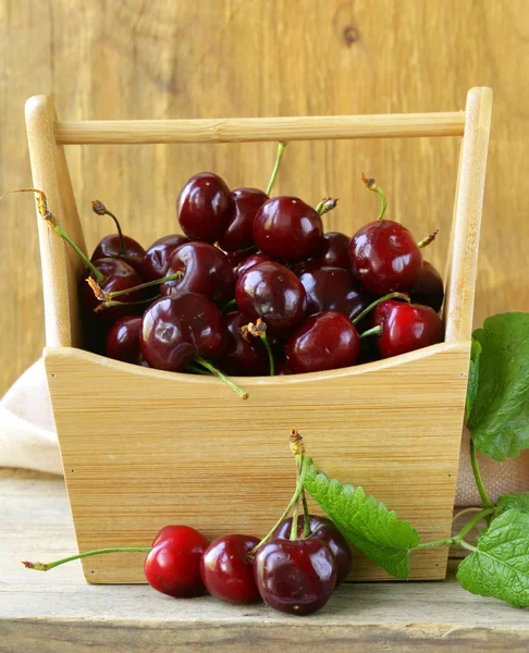 Bagas maduras cerejas em uma caixa de madeira — Fotografia de Stock