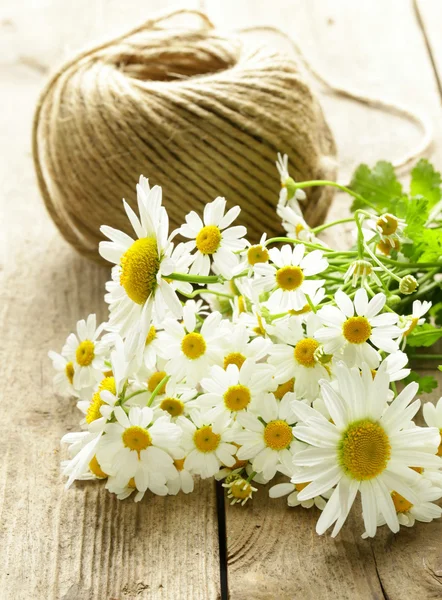 Bouquet di margherite fresche su fondo di legno — Foto Stock