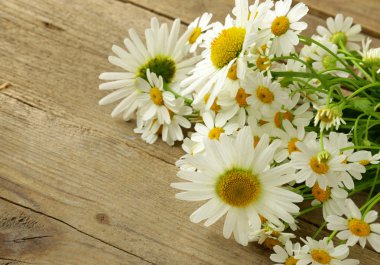 ahşap arka plan üzerinde taze papatya buketi