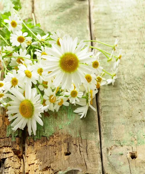 木製の背景に新鮮なヒナギクの花束 — ストック写真