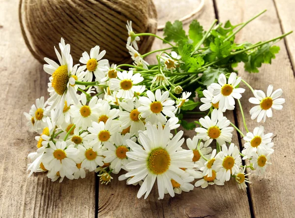 Bouquet di margherite fresche su fondo di legno — Foto Stock