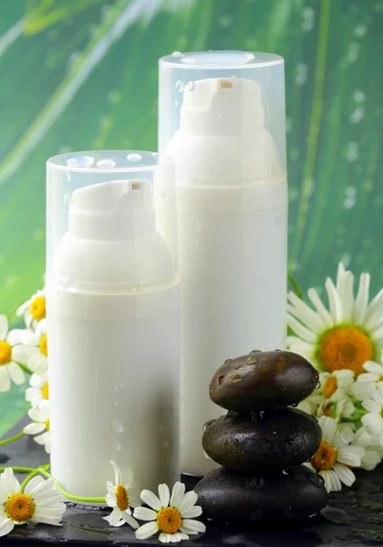 Creme cosmético - cuidado de cara orgânico e natural — Fotografia de Stock
