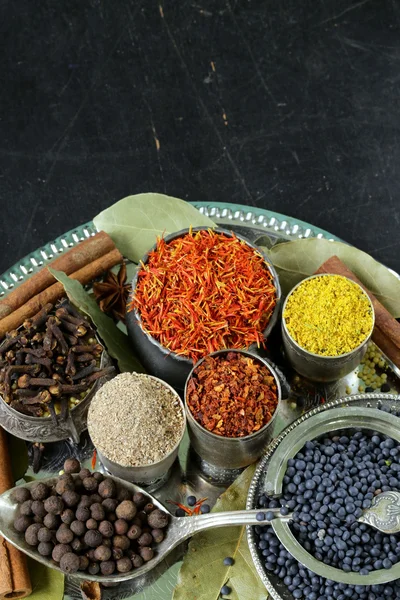 Collection of various spices (paprika, turmeric, pepper, aniseed, cinnamon, saffron) — Stock Photo, Image