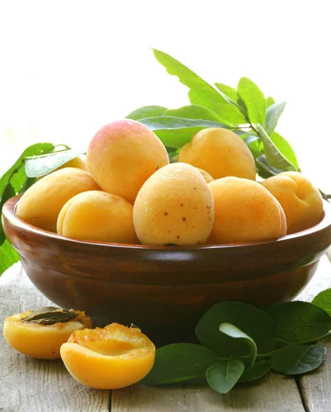 Žluté sladké zralé meruňky (broskve) se zelenými listy — Stock fotografie
