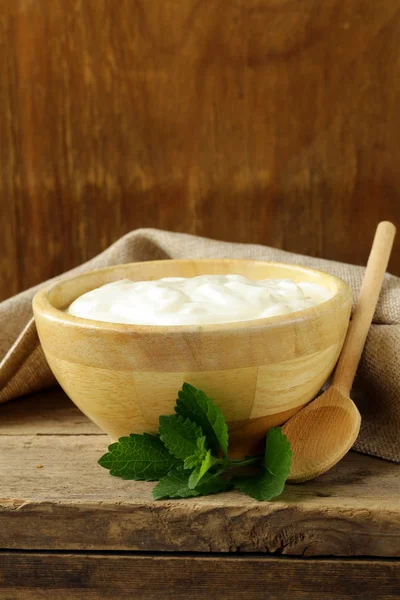 Productos lácteos orgánicos naturales (crema agria, yogur, queso crema ) — Foto de Stock