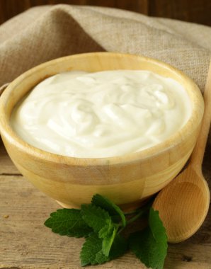 doğal organik süt ve süt ürünleri (ekşi krema, yoğurt, krem peynir)