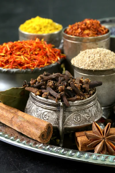 Kolekce různých koření (paprika, kurkuma, pepř, anýz, skořice, šafrán) — Stock fotografie