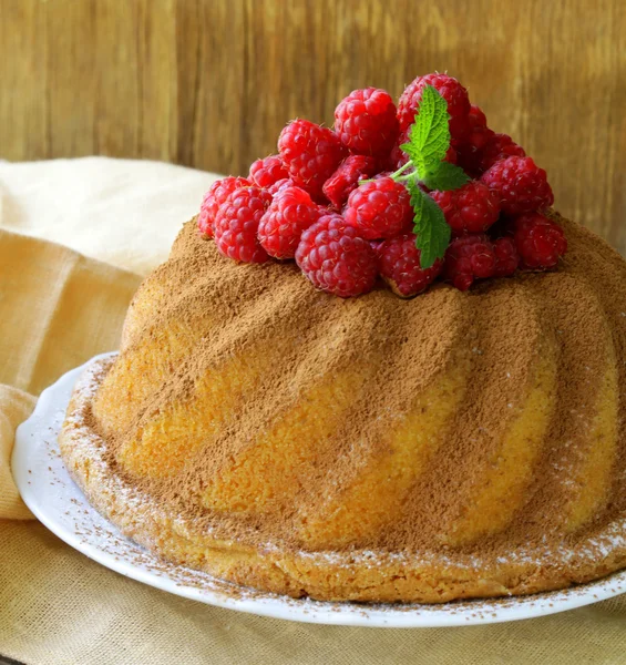 Christmas round sponge cake with raspberries — Stock Photo, Image