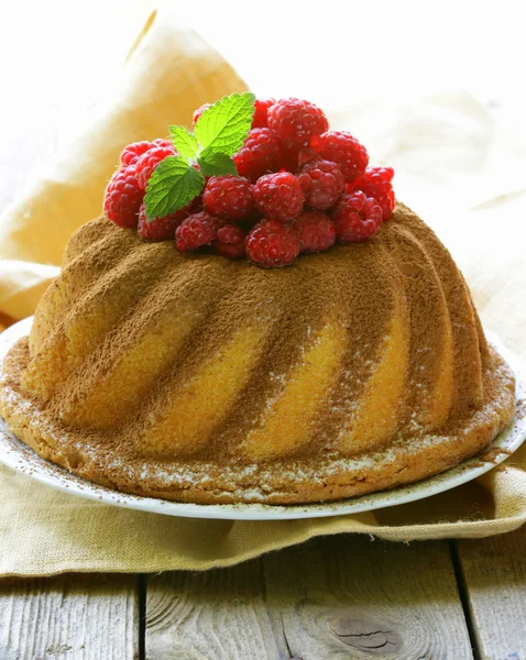 Torta di spagna rotonda di Natale con lamponi — Foto Stock