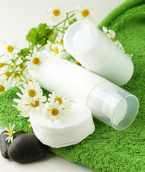 Cosmetic cream - organic and natural face care — Stock Photo, Image