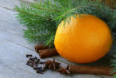 Noel kompozisyon - portakal ve baharatlar ve köknar ağacı