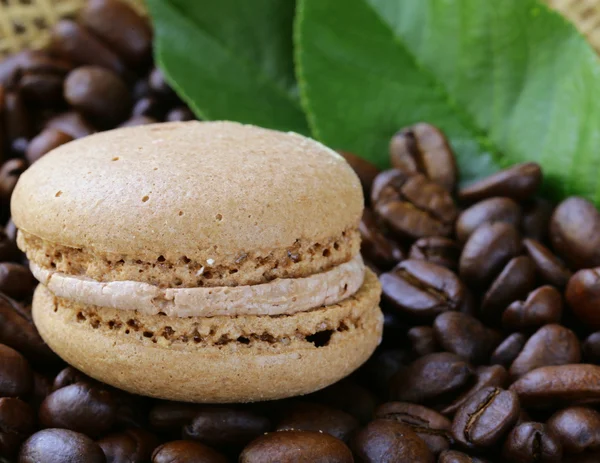 Biscuits au macaron au chocolat sur fond de grains de café — Photo