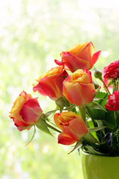 Bouquet of orange roses on a natural green background — Stock Photo, Image