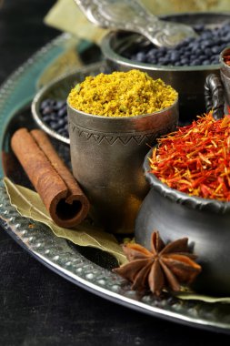 koleksiyon çeşitli baharat (kırmızı biber, zerdeçal, biber, anason, tarçın, safran)