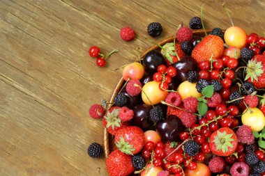 Berry çeşitler - ahududu, böğürtlen, çilek, kuş üzümü, kiraz
