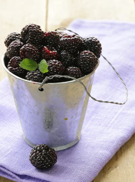 有机成熟黑色浆果莓 (黑莓) 木制的桌子上 — 图库照片