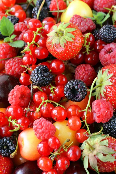 Fundo de bagas é fruta fresca e madura — Fotografia de Stock