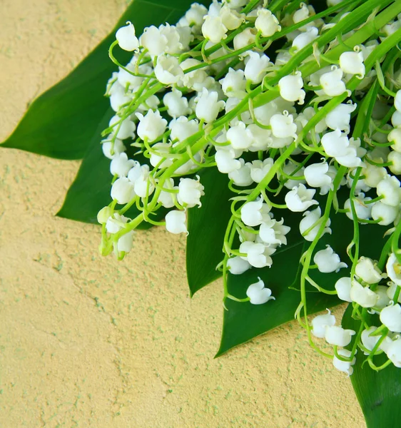 Strauß Frühlingsblumen Maiglöckchen — Stockfoto