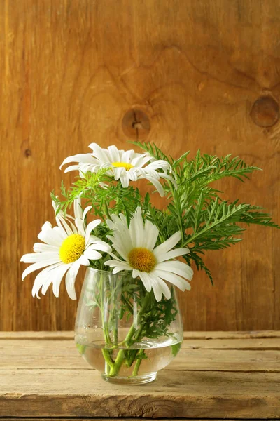 Ramillete de margaritas frescas sobre fondo de madera — Foto de Stock