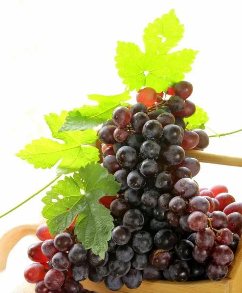 Органический спелый черный виноград на деревянном столе — стоковое фото
