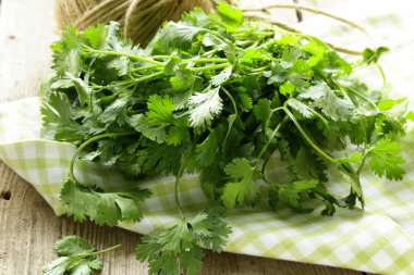 Bunch of fresh green coriander (cilantro) on a wooden table clipart