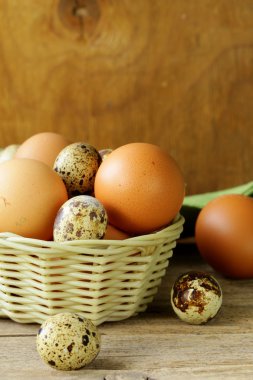 ahşap bir masa üzerinde organik taze yumurta