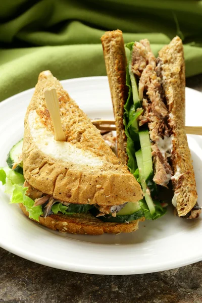 Tuna sandwich with cucumber and lettuce — Stock Photo, Image