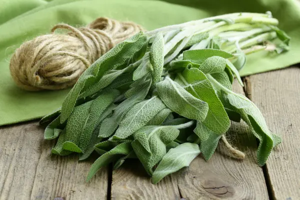 Bunch of fresh green sage on a wooden table — Stock Photo, Image