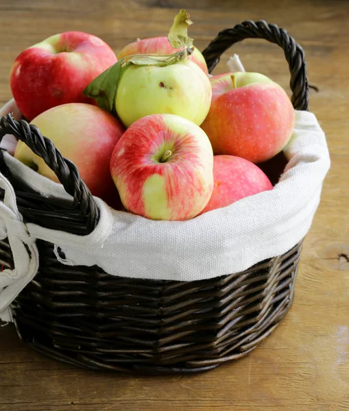 Autumn harvest of organic apples in the basket — Stock Photo, Image