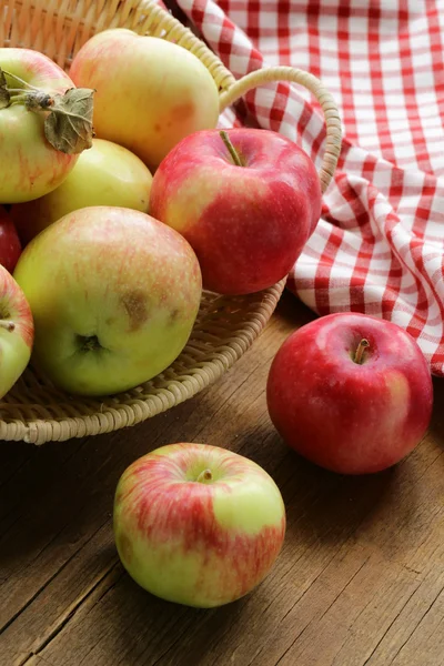 Autumn harvest of organic apples in the basket — Stock Photo, Image