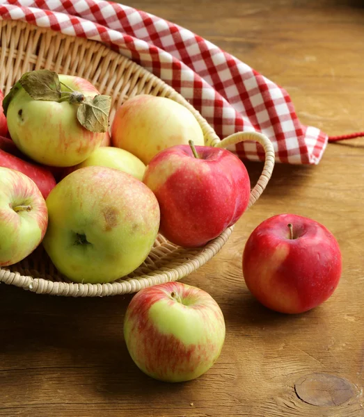 Récolte automnale de pommes biologiques dans le panier — Photo