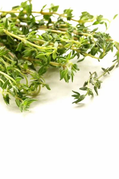Fragrant fresh green thyme on white background — Zdjęcie stockowe