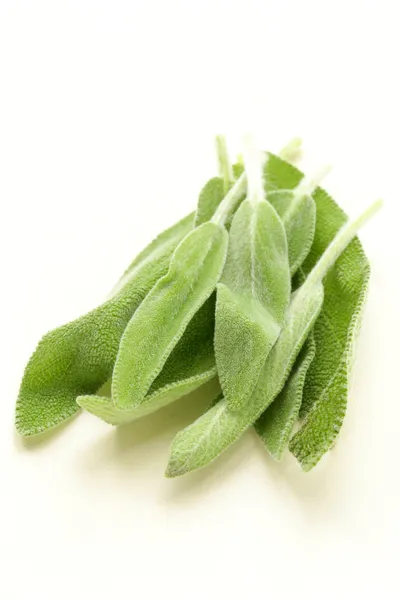 Świeży pachnący zielony mędrzec na białym tle — Zdjęcie stockowe