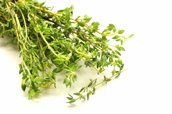 Fragrant fresh green thyme on white background — Zdjęcie stockowe