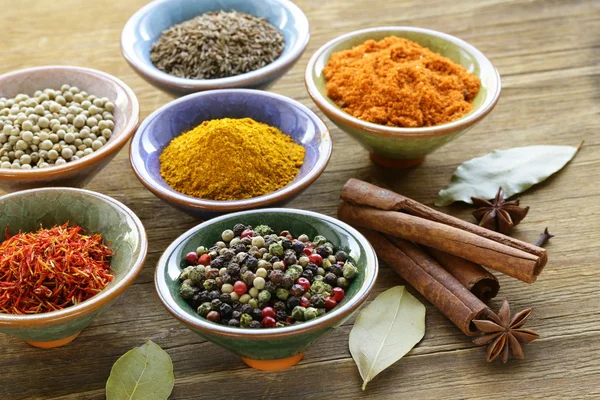 Different kinds of spices in ceramic bowls — Stock Photo, Image