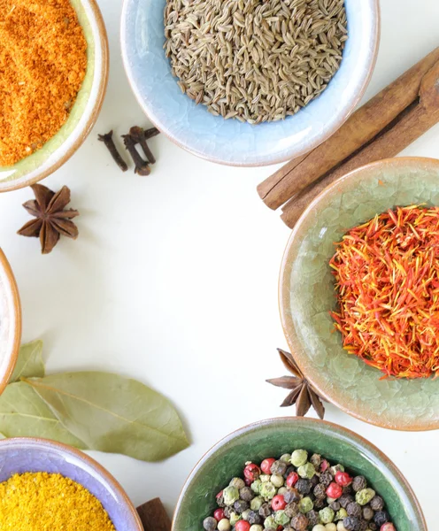 Different kinds of spices in ceramic bowls — Stock Photo, Image