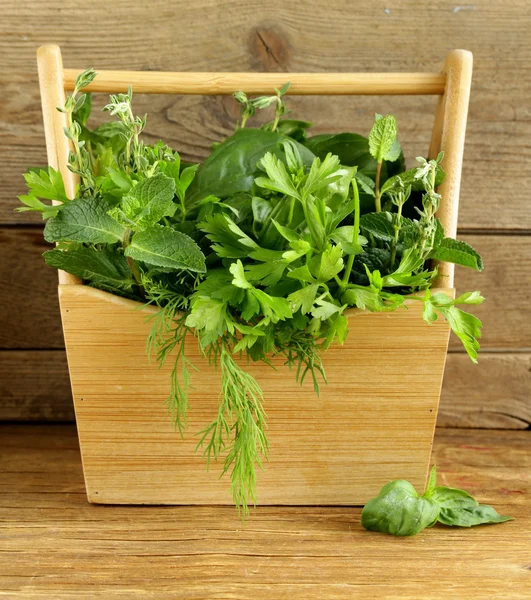 Berbagai tanaman herbal (kemangi, thyme, peterseli, mint dan dill) pada latar belakang kayu — Stok Foto