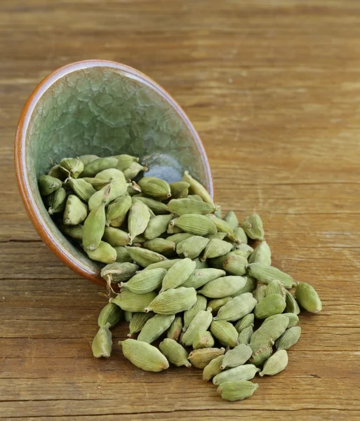 Grön kardemumma pods spice - aromatisk krydda för mat — Stockfoto