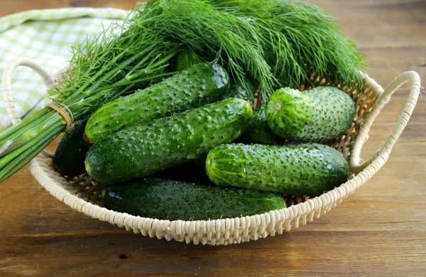 Hasır sepet içinde taze yeşil salatalık — Stok fotoğraf