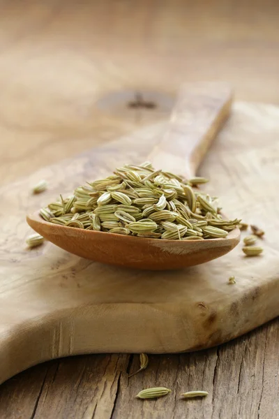 Macro shot semillas de hinojo, condimento aromático de especias —  Fotos de Stock