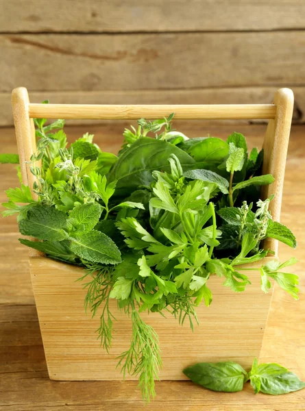 Berbagai tanaman herbal (kemangi, thyme, peterseli, mint dan dill) pada latar belakang kayu — Stok Foto